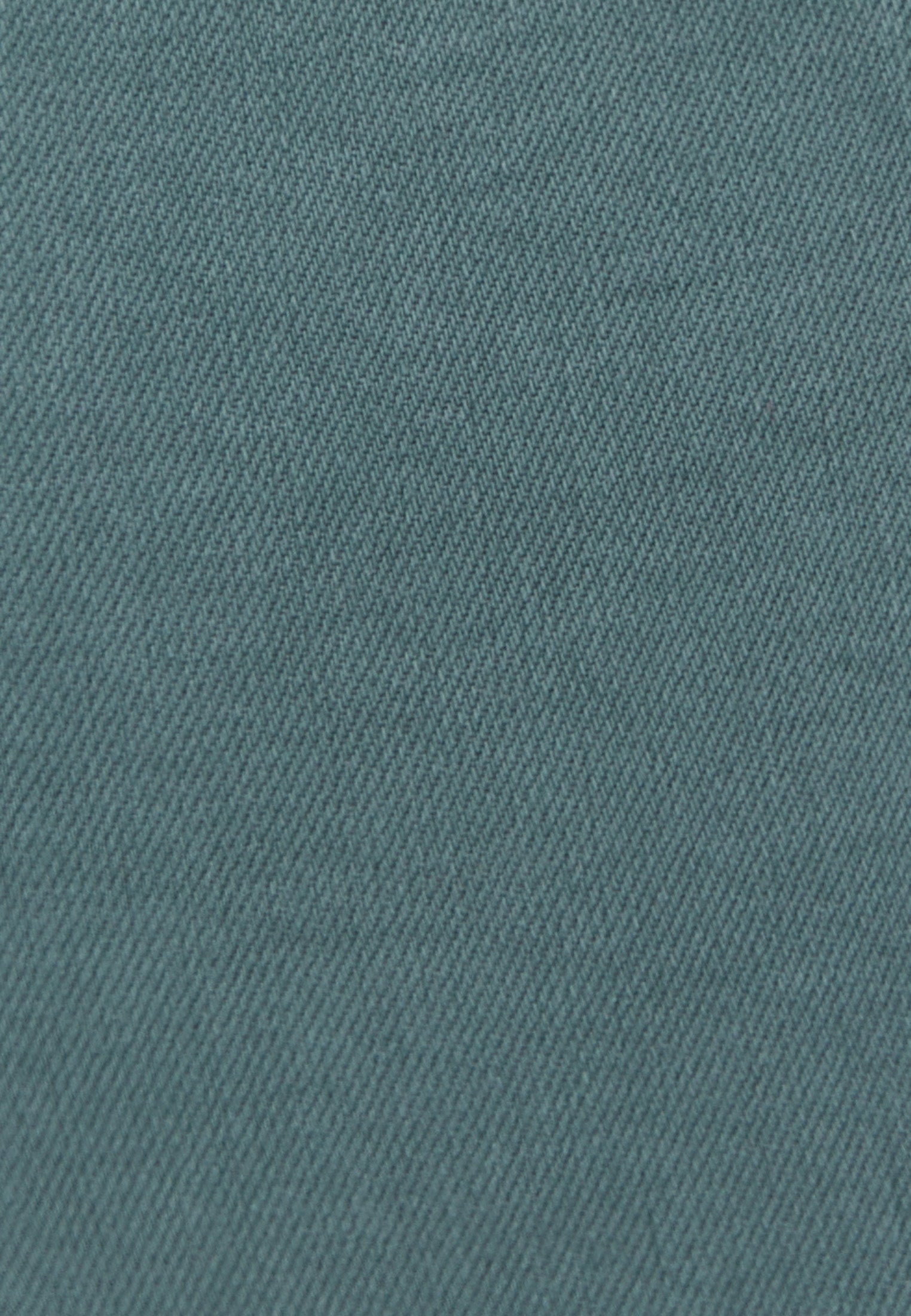 Slim fit high waist pants - ANTIK LAUREL WREATH