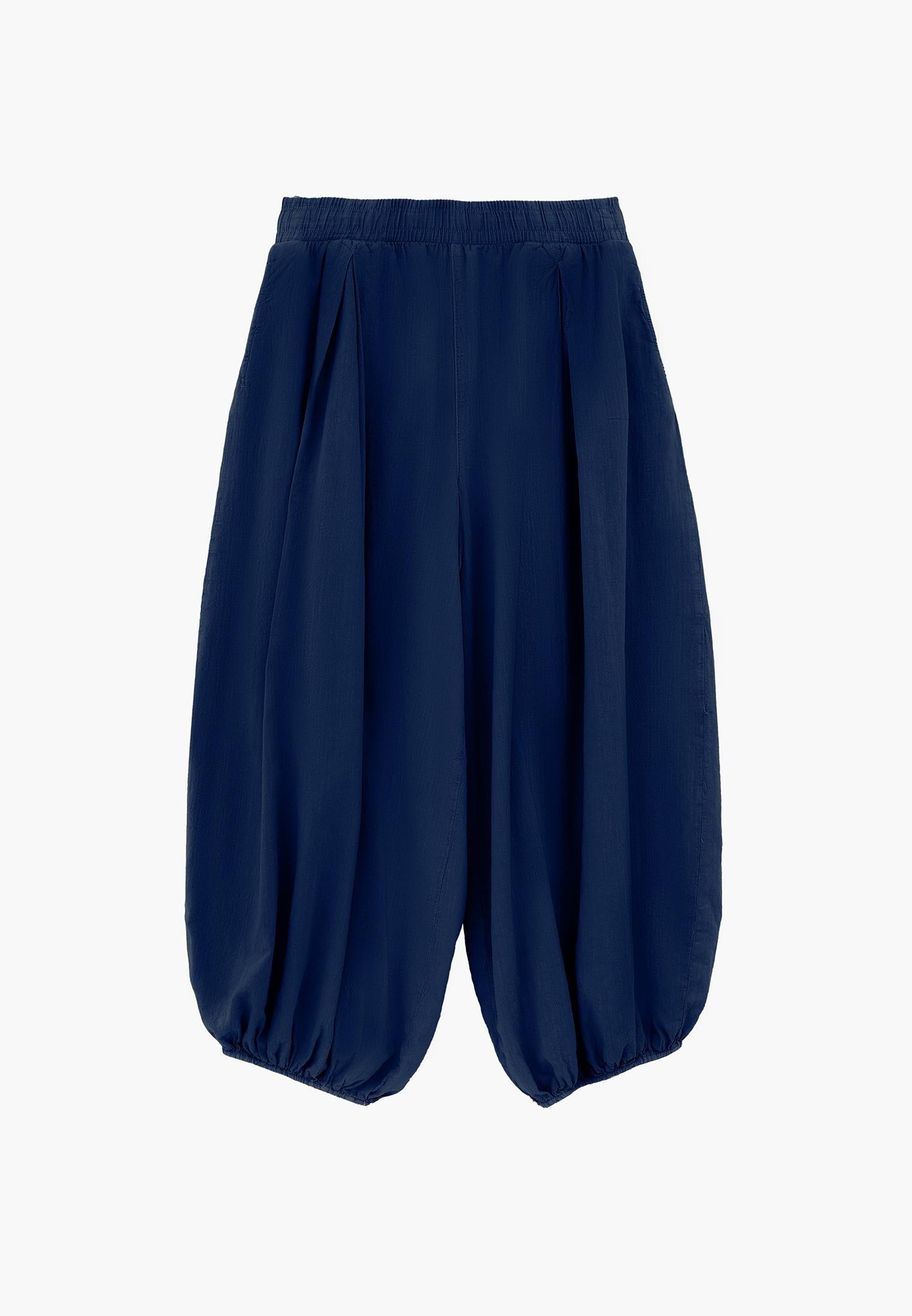 Balloon Fit Regular Waist Pleated Pants - ANTIK NAVY PEONY