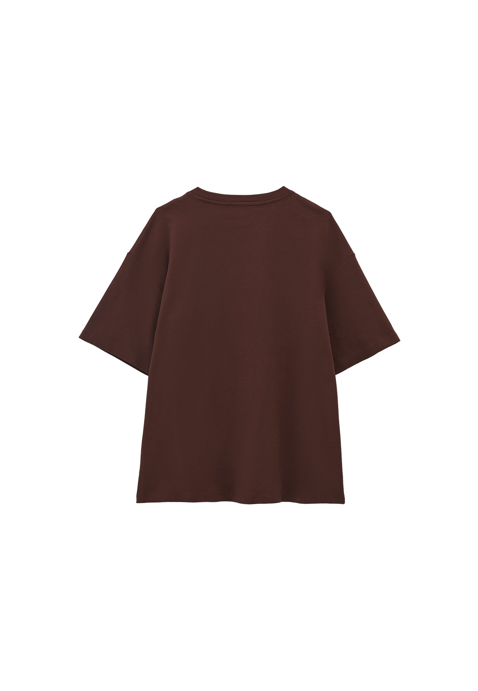 Oversized cotton t-shirt - CHICORY COFFEE