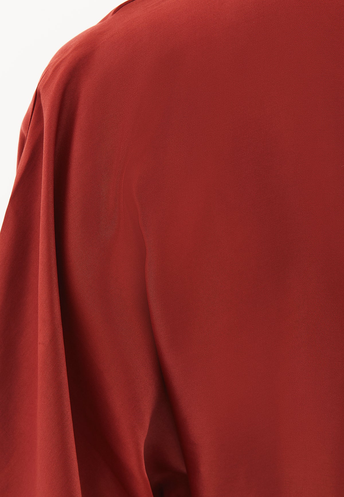 Long Dress with Belt and Buckle - ROASTED RUSSET