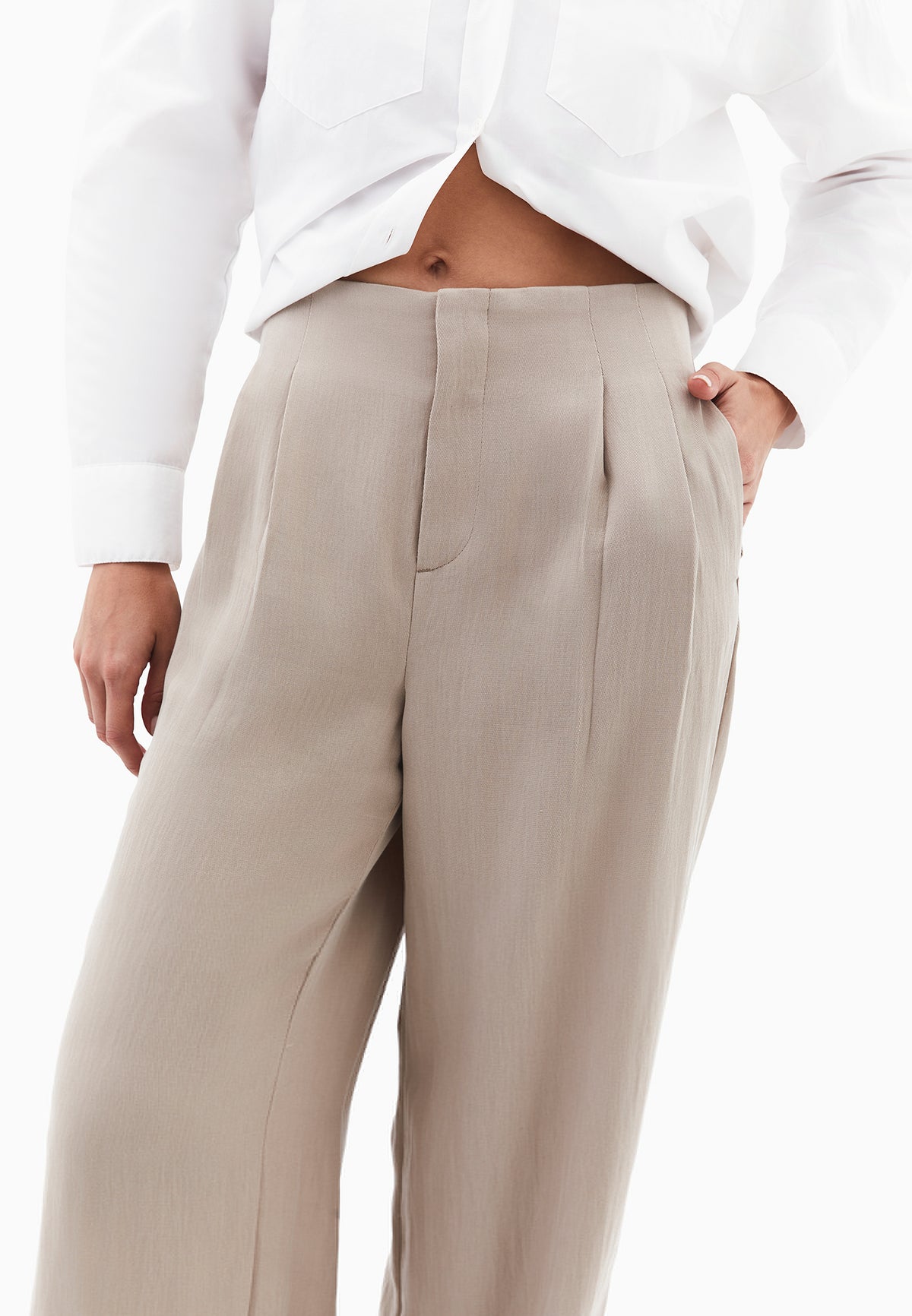 Pleated Wide Leg Pants - Beige