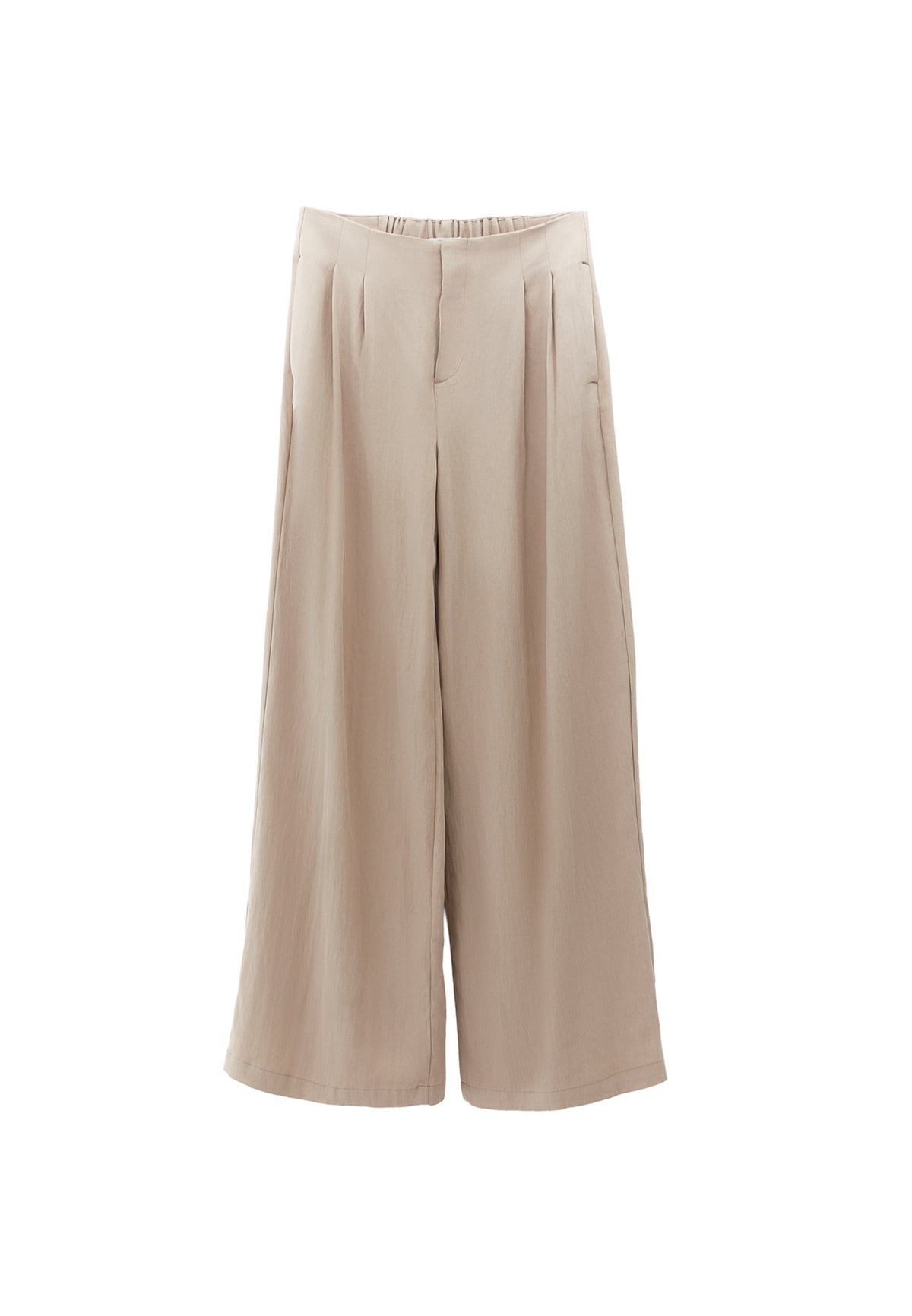 Pleated Wide Leg Pants - Beige
