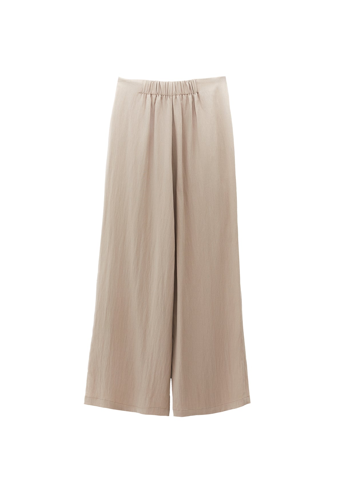 Pleated Wide Leg Pants - Beige