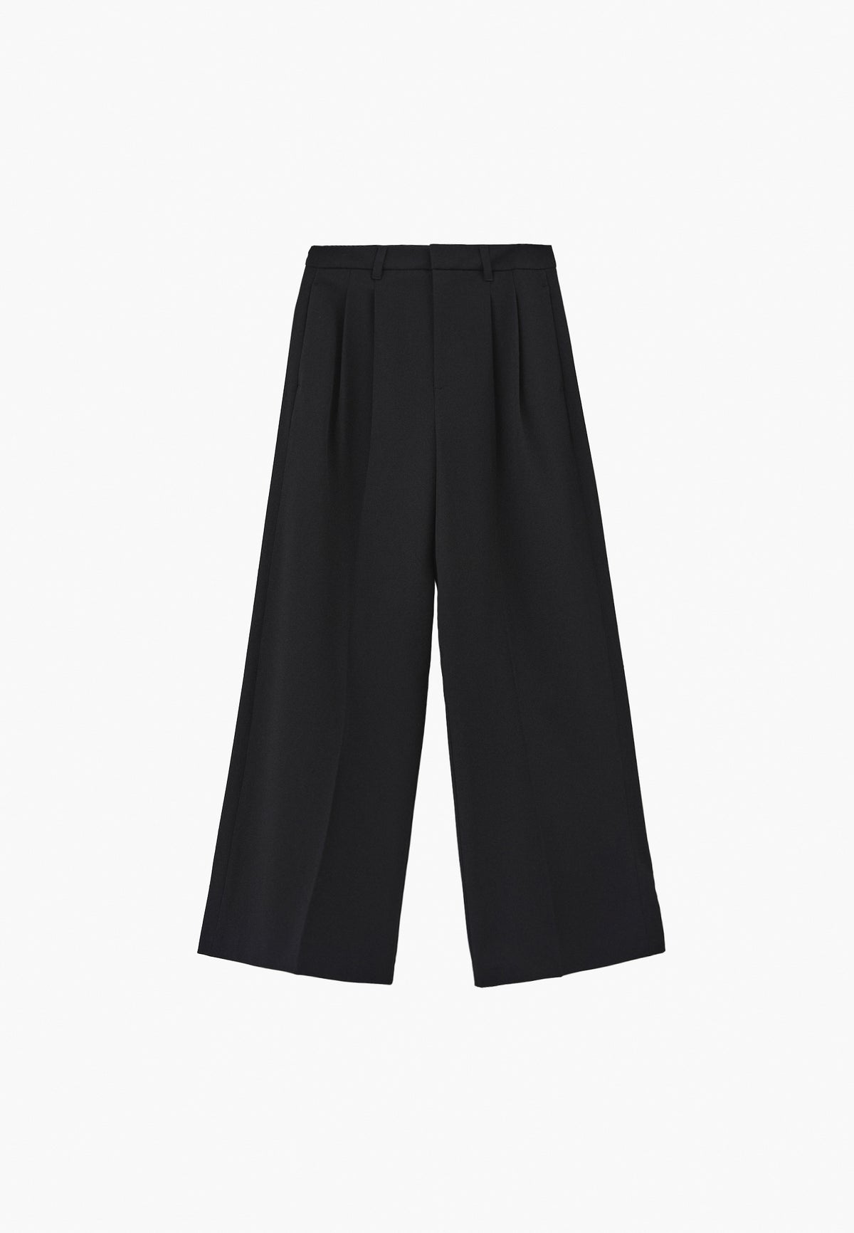 Pleated Wide Leg Pants - Black