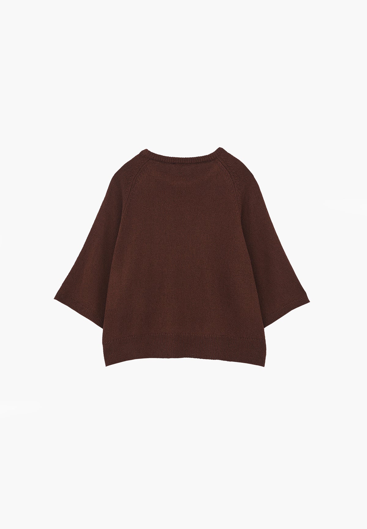 Raglan Sleeve Loose Fit Crew Neck Sweater - Brown