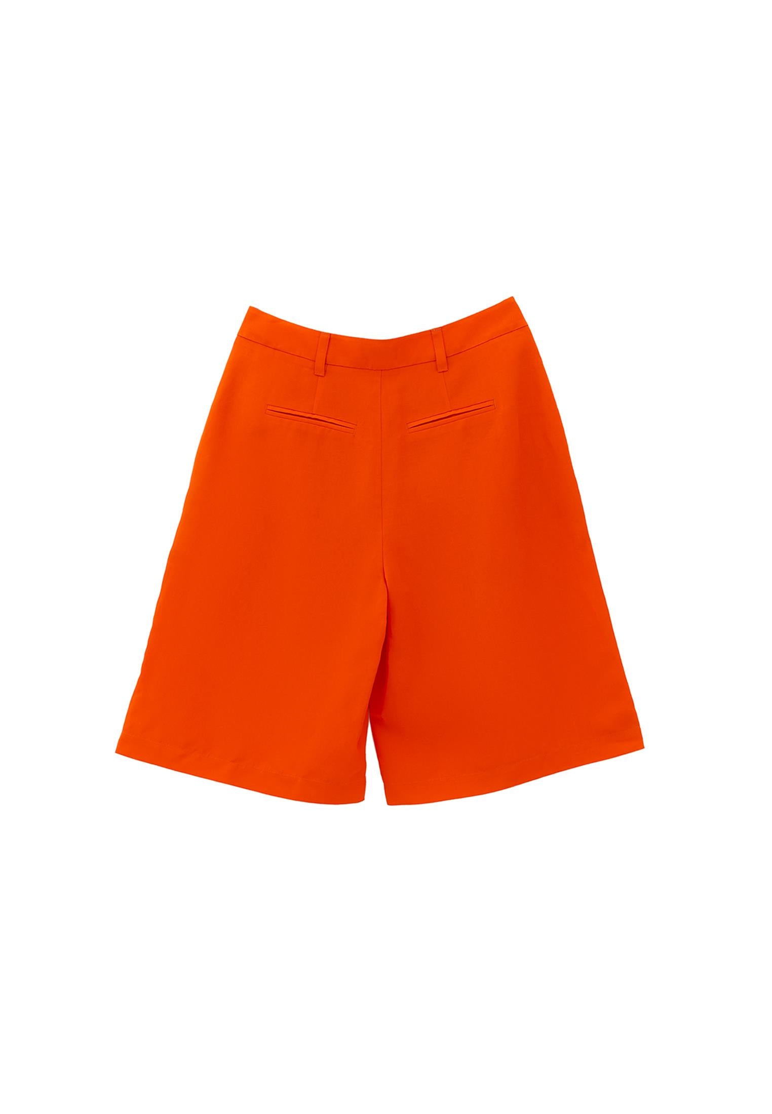 High Waist Pleated Short Shorts - PUFFIN S BILL