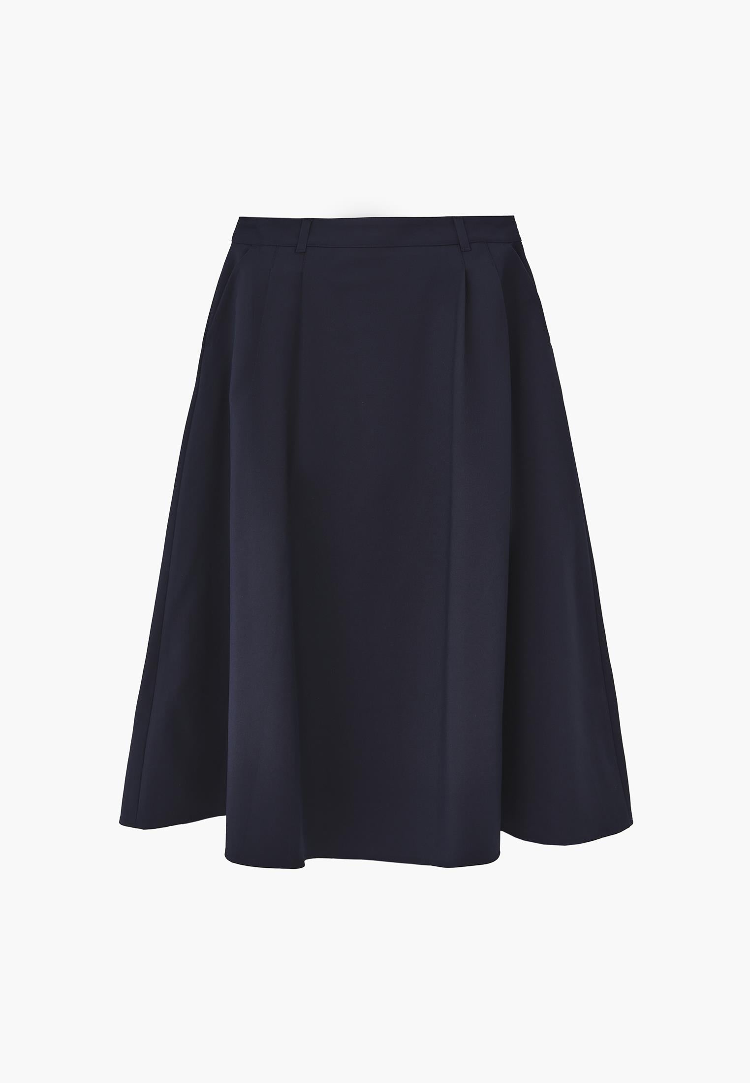 Long Pleated Flared Skirt - SKY CAPTAIN