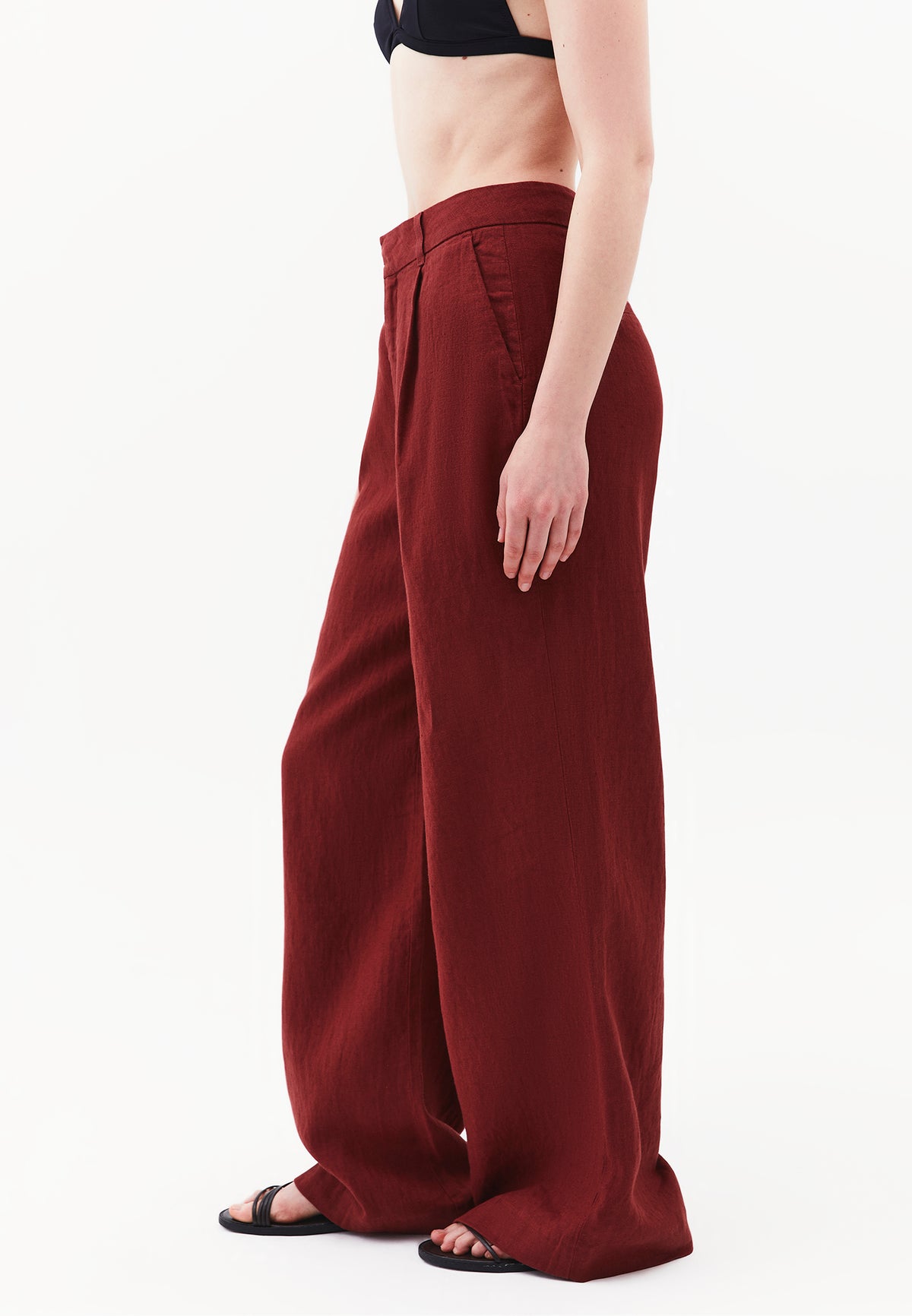 Pleated Wide Leg Pants - SPICED APPLE